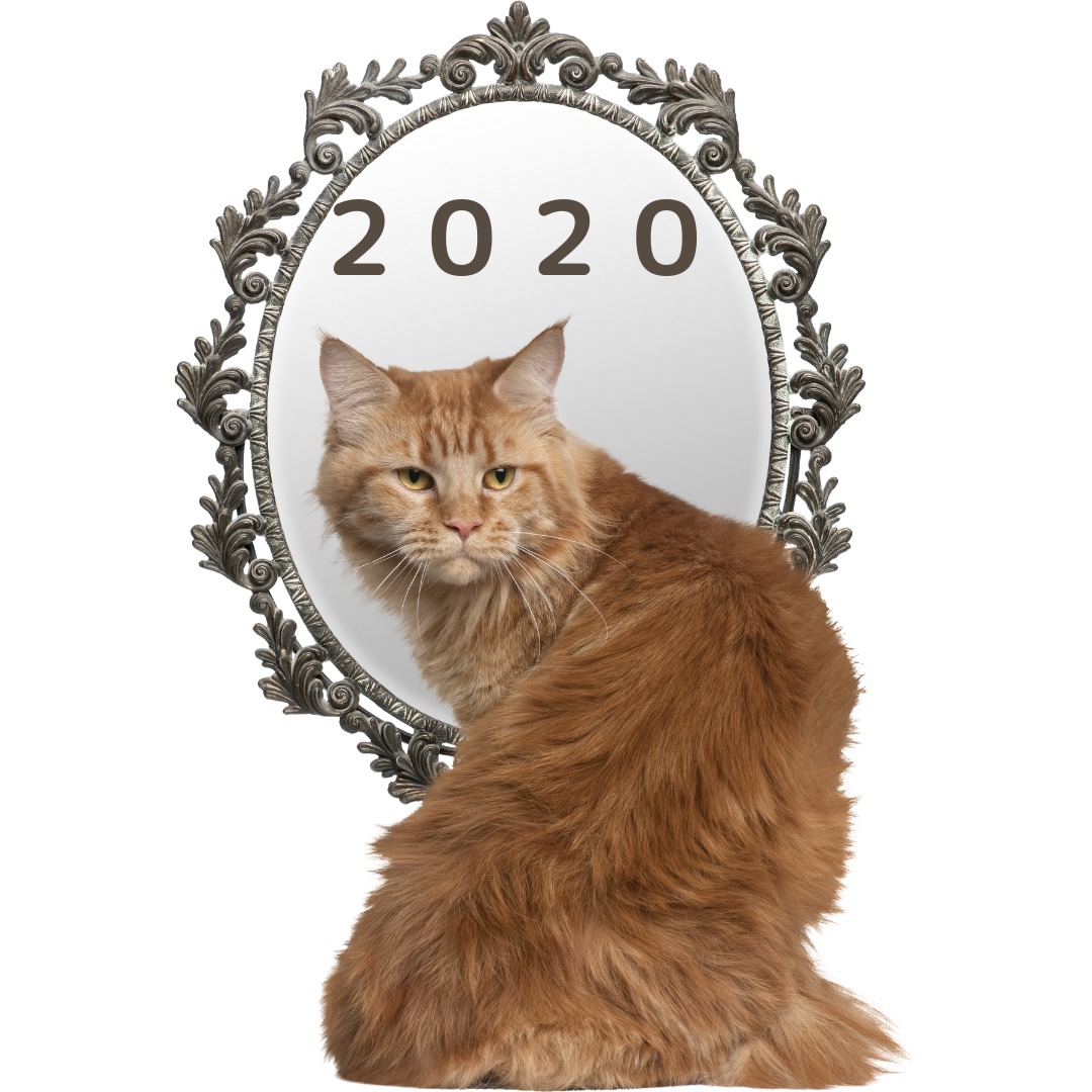 74：「2020年までの予測を振り返る」