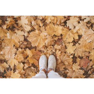 84：「秋商戦・販促チェックポイント」